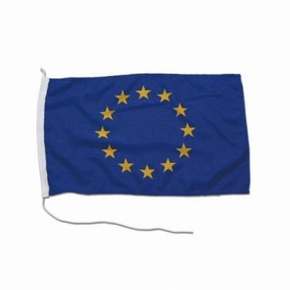 EUROPEAN FLAG — N5420031 TREM