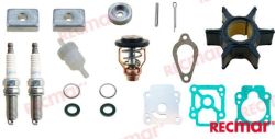 MERCURY MAINTENANCE KIT — RECKITMER209