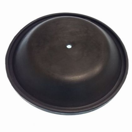 DIAPHRAGM FOR GS20030 — GS20036