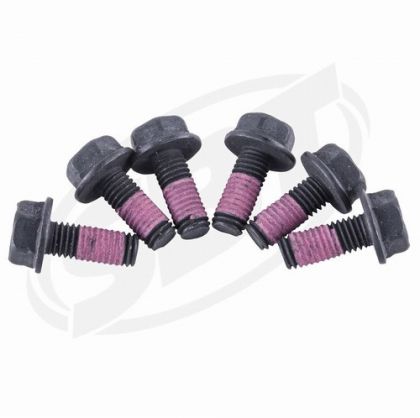 SEA-DOO MAGNETO SCREW KIT — FSX-06K SBT