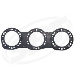 HEAD GASKET — 42-407-02 SBT