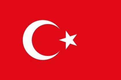 TURKEY FLAGS — N5429045 TREM