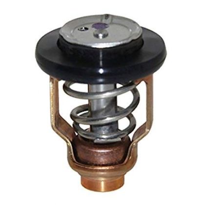 THERMOSTAT — REC67F-12411-01