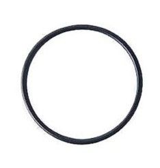 O-RING — 420650270 BRP