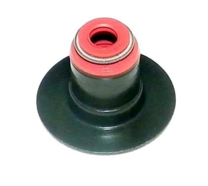 VALVE STEM — 420630200 BRP