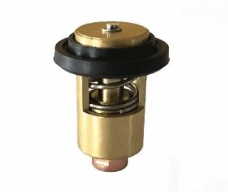 THERMOSTAT — REC105582-49200