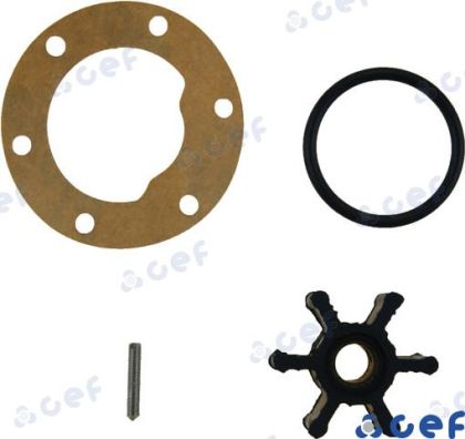 IMPELLER FOR PUMP — 500100GX CEF