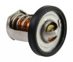 THERMOSTAT (60°C) — 17670-94J00 SUZUKI