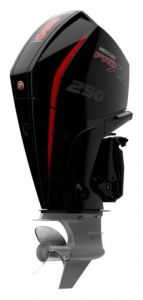 OUTBOARD DRIVE 4T MERCURY 250HP — F250 XL PRO XS DS MERCURY