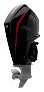 OUTBOARD DRIVE 4T MERCURY 225HP — F225 L DS MERCURY