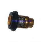 THERMOSTAT 60°C — REC855676002