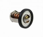 THERMOSTAT 60°C — REC17670-94J01