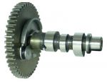 CAMSHAFT ASSY — PAF4-04040000