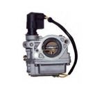 CARBURETOR ASSY — PAF25-05070000