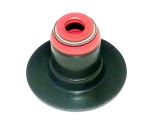 VALVE STEM — 420630200 BRP