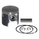 PISTON WITH 2 RINGS 76.50mm — 290886272 BRP / 420886272 BRP