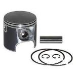 PISTON WITH 2 RINGS 76.25mm — 290886271 BRP / 420886271 BRP