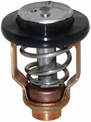 THERMOSTAT 52°C — REC6CE-12411-00