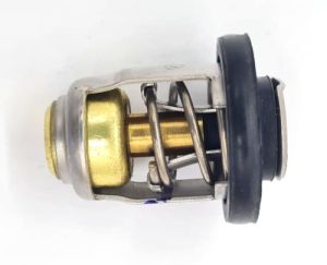 THERMOSTAT — RM855676005