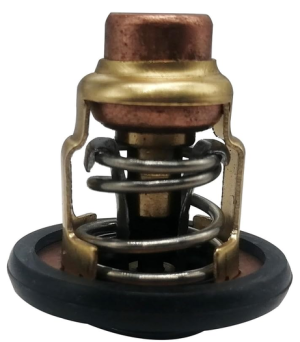 ТЕРМОСТАТ F20F/F20G/F25G 60°C — 6FM-12411-00-00 YAMAHA