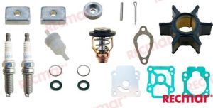 MERCURY MAINTENANCE KIT — RECKITMER209