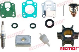 MERCURY MAINTENANCE KIT — RECKITMER4
