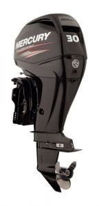 OUTBOARD DRIVE 4T MERCURY 30HP — F30 ELPT EFI MERCURY