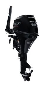 OUTBOARD DRIVE 4T MERCURY 9.9HP — F9.9 MLH MERCURY