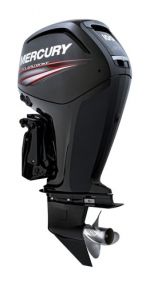 OUTBOARD DRIVE 4T MERCURY 100HP — F100 ELPT CT EFI MERCURY